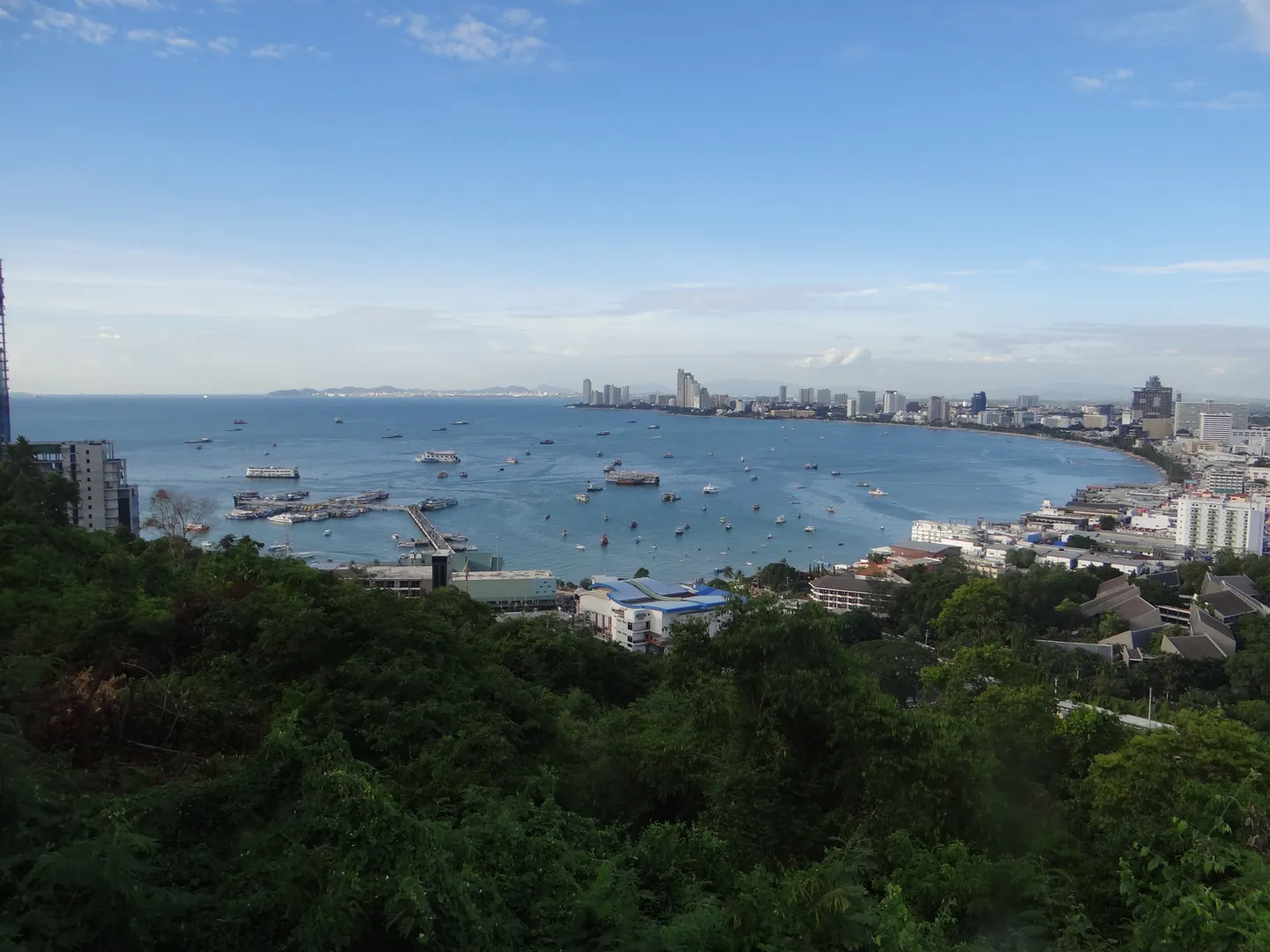 Pattaya Bay curving past the waterfront skyline, seen from a green hillside.